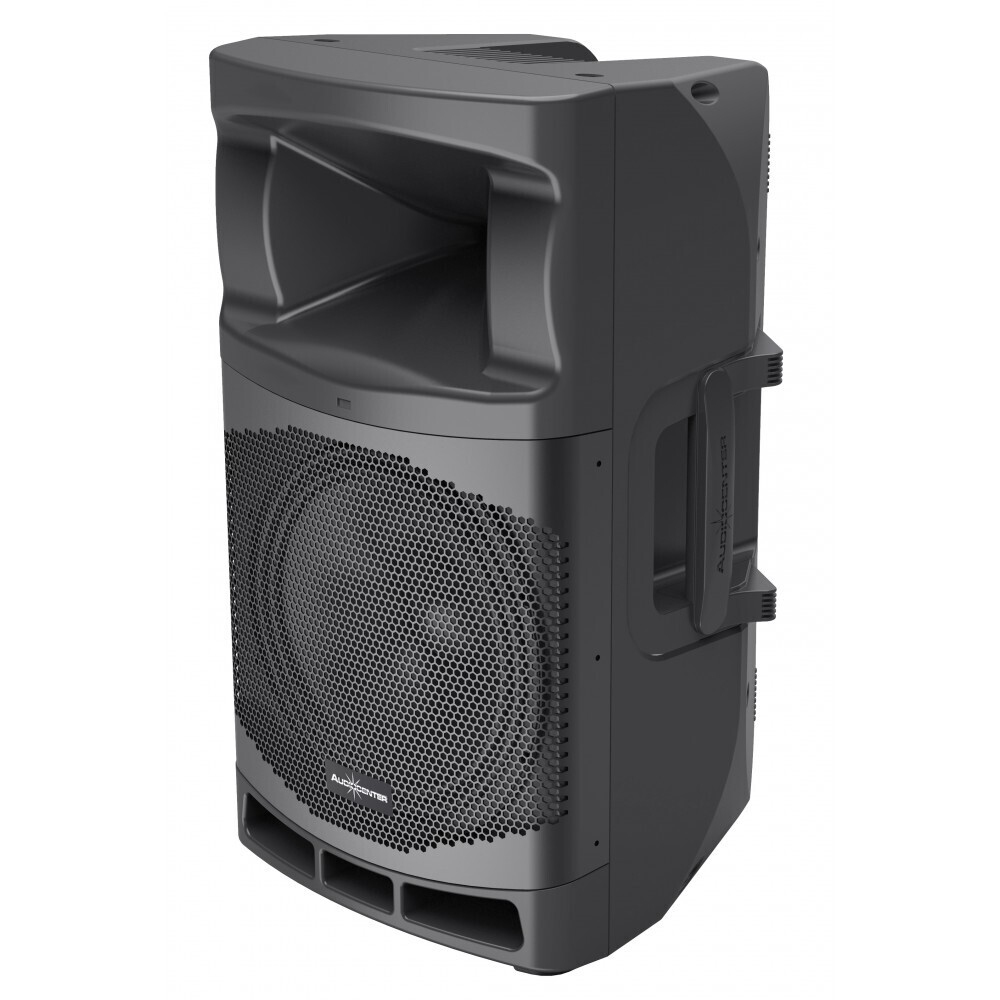 Audiocenter MA12 активная акустическая система в Камень-на-Оби