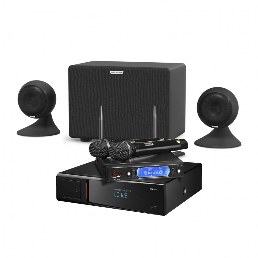 караоке-комплект AST Mini Sound Sphere в Камень-на-Оби