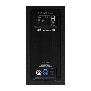 Активная акустическая система AST-310A в Камень-на-Оби
