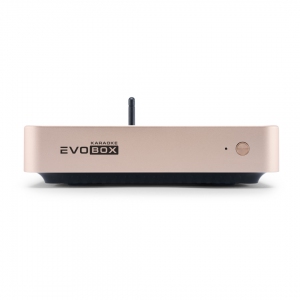 EVOBOX Plus караоке-система для дома в Камень-на-Оби