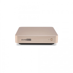 EVOBOX с микрофонами в Камень-на-Оби