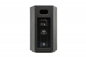 MX LAB DANA 10P активная акустическая система в Камень-на-Оби