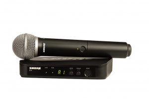 SHURE BLX24E/PG58 M17 вокальная радиосистема в Камень-на-Оби